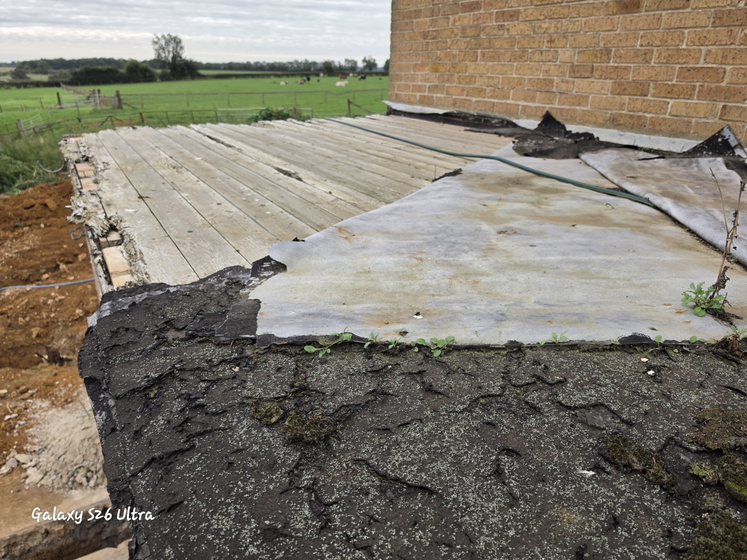 Bituminous roofing felt with lighter backing exposed