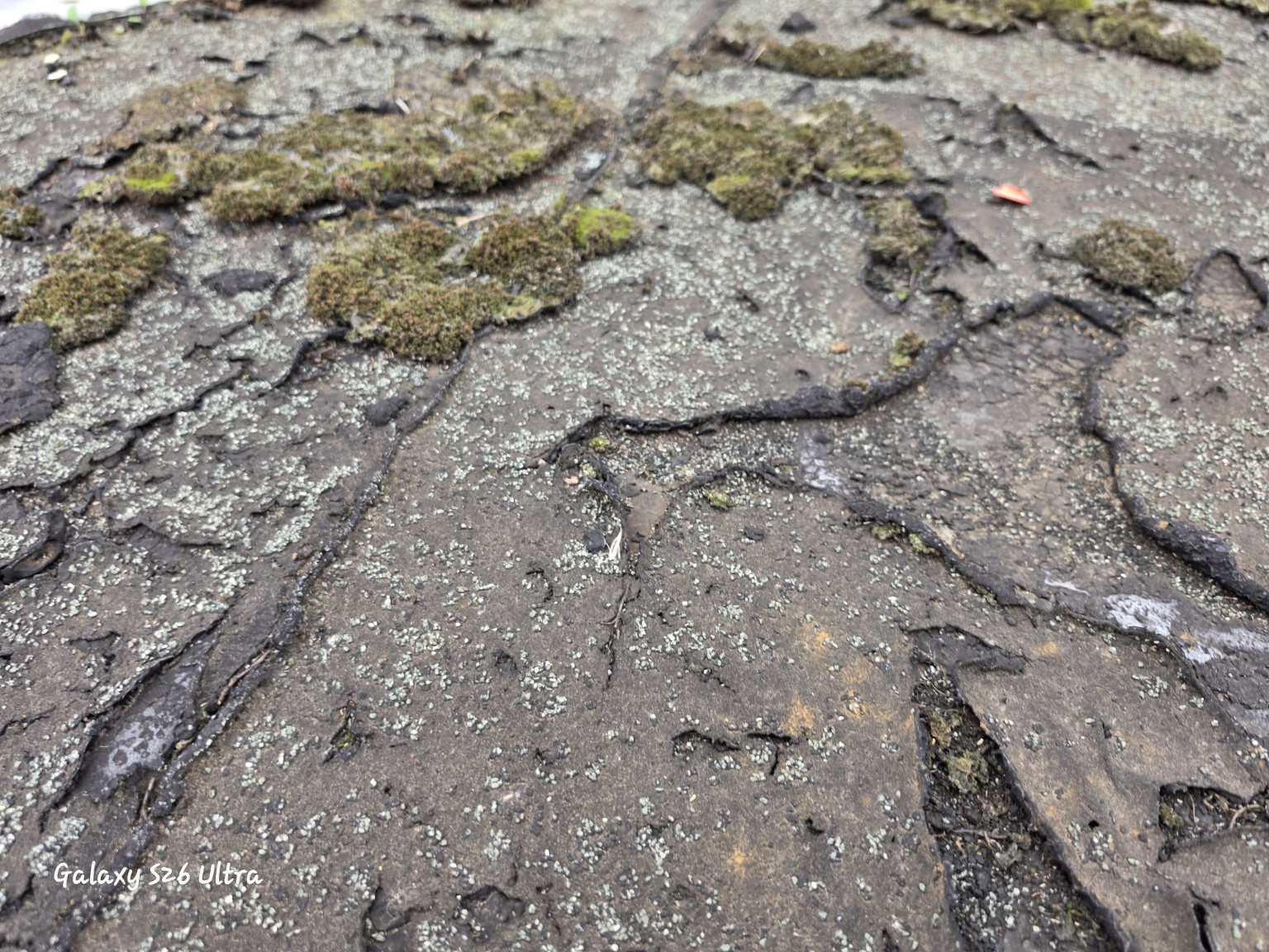 Close view of weathered bituminous roofing felt