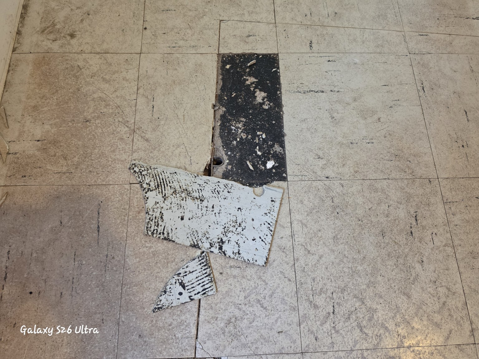 Lifted thermoplastic floor tiles exposing black adhesive