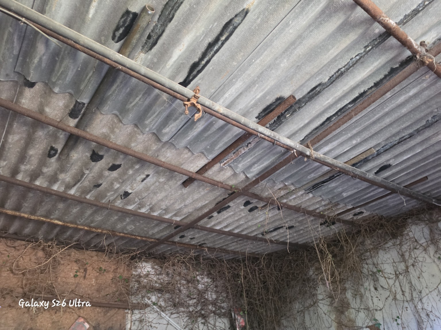 Profiled corrugated asbestos-cement roof sheets viewed from below