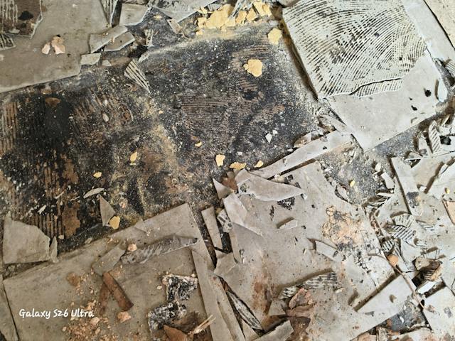 WKA survey photograph